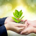 A Chance for Self-Discovery: Finding Your True Self