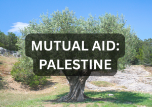 Bring Life-Saving Support to Palestinian Families